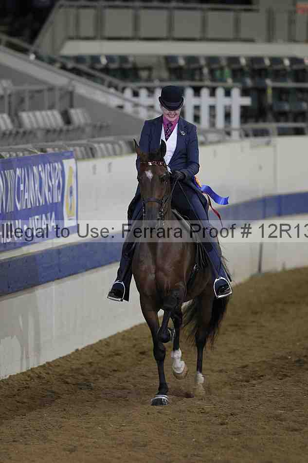 Proof 12r13_2249