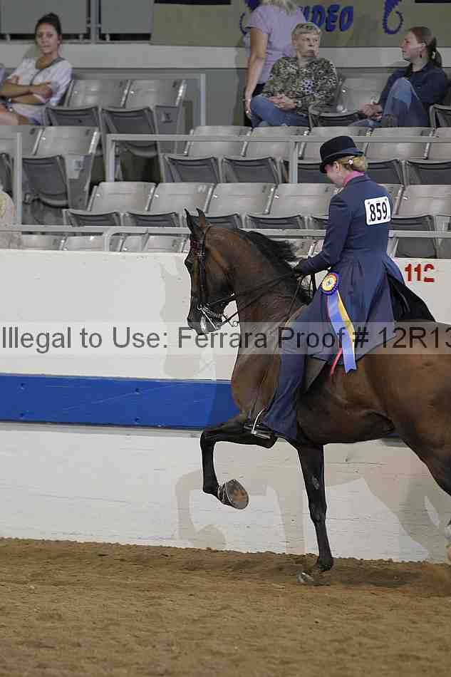 Proof 12r13_2253