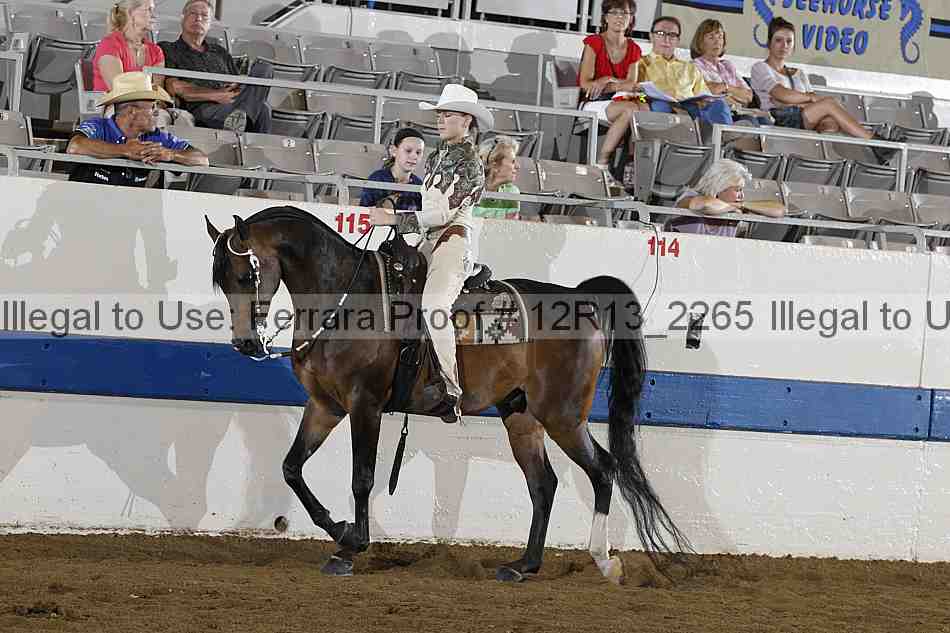 Proof 12r13_2265