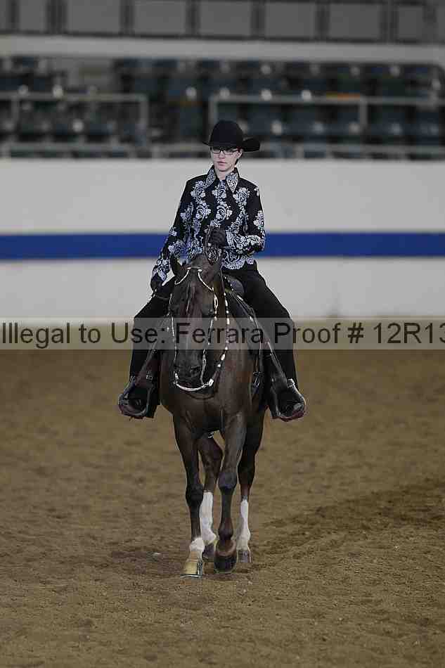Proof 12r13_2266