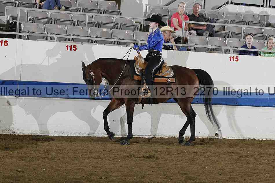 Proof 12r13_2270