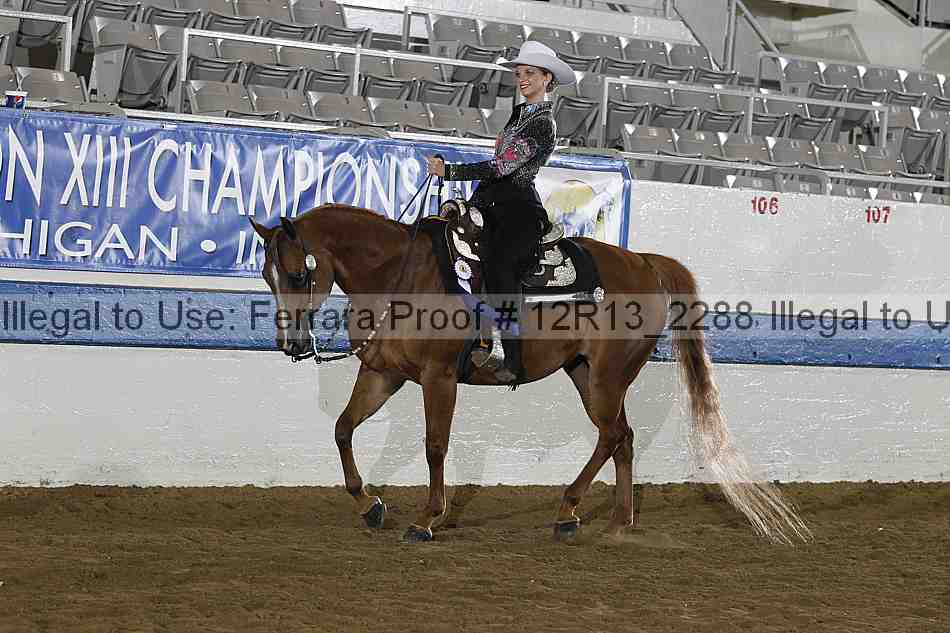 Proof 12r13_2288