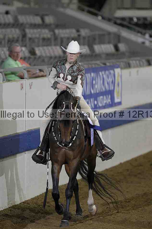 Proof 12r13_2290