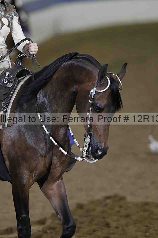 Proof 12r13_2293