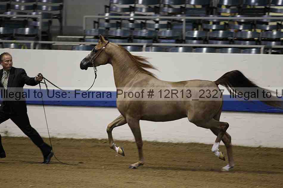 Proof 12r13_2327
