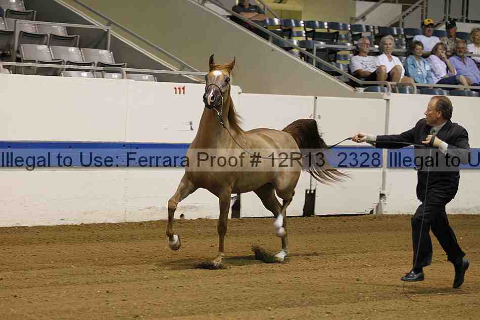 Proof 12r13_2328