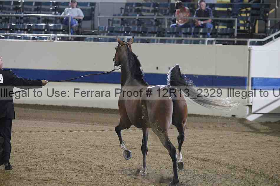 Proof 12r13_2329