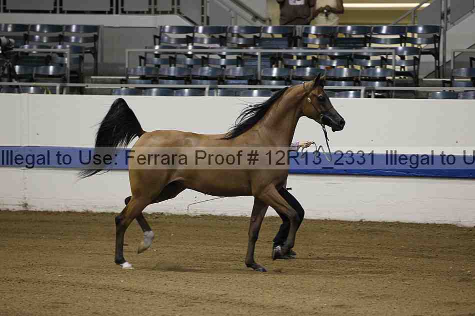 Proof 12r13_2331