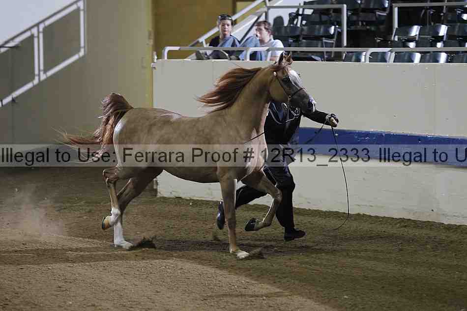 Proof 12r13_2333