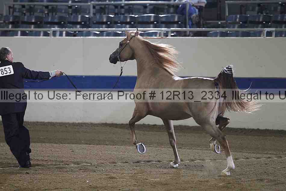Proof 12r13_2334