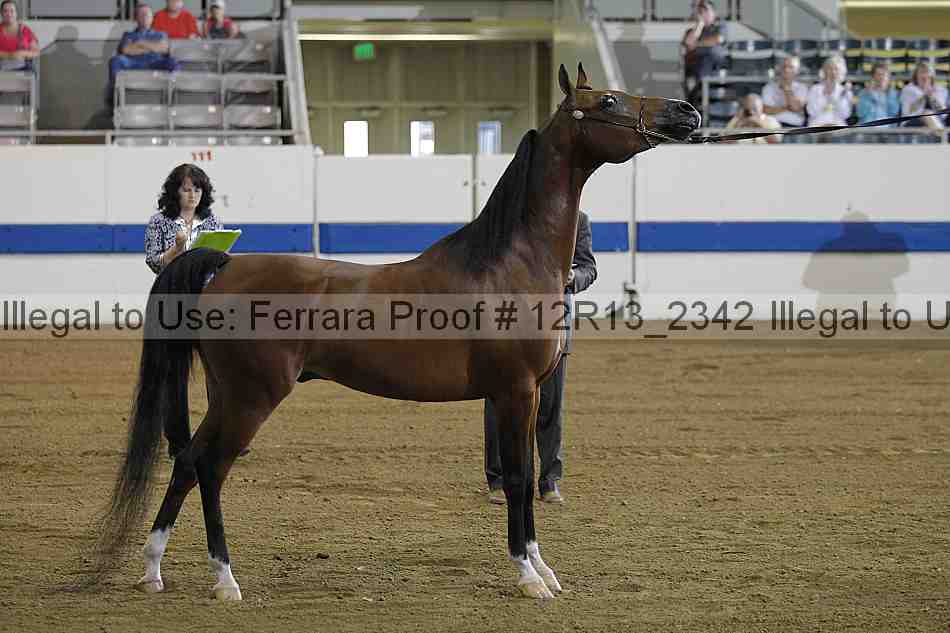 Proof 12r13_2342