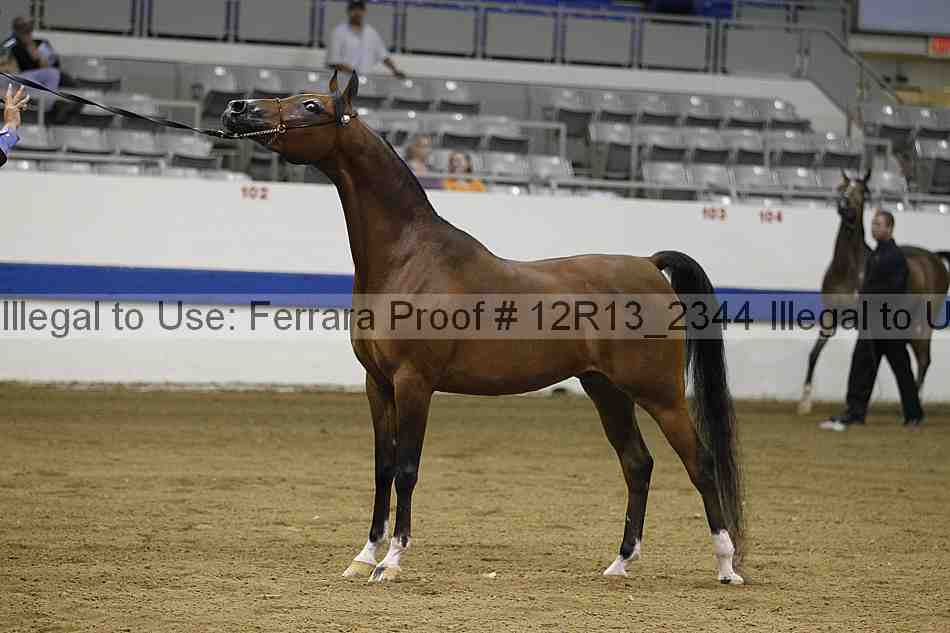 Proof 12r13_2344