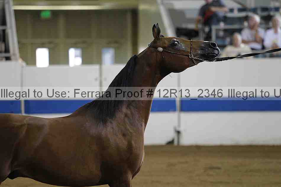 Proof 12r13_2346
