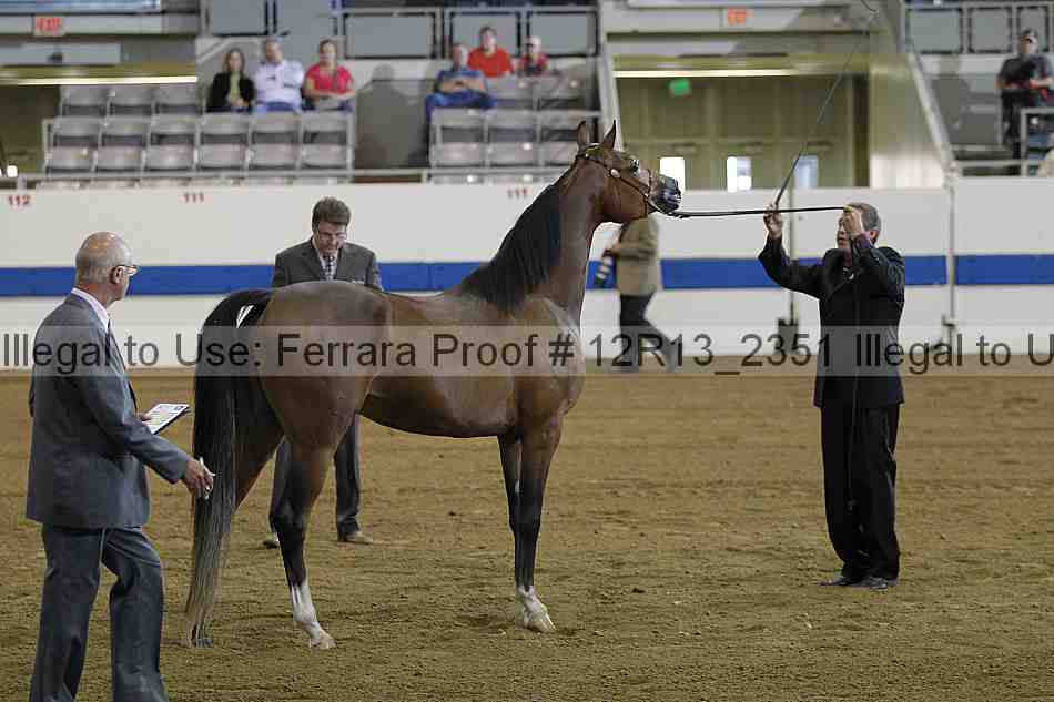 Proof 12r13_2351