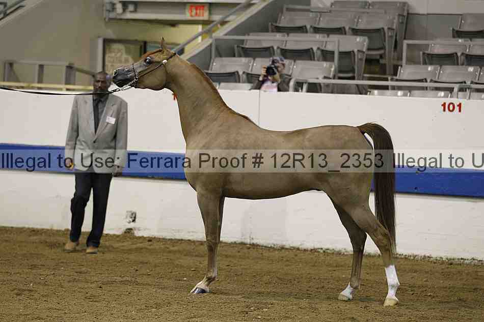 Proof 12r13_2353