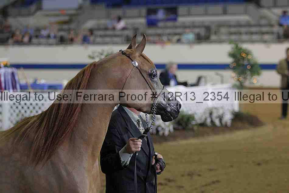 Proof 12r13_2354