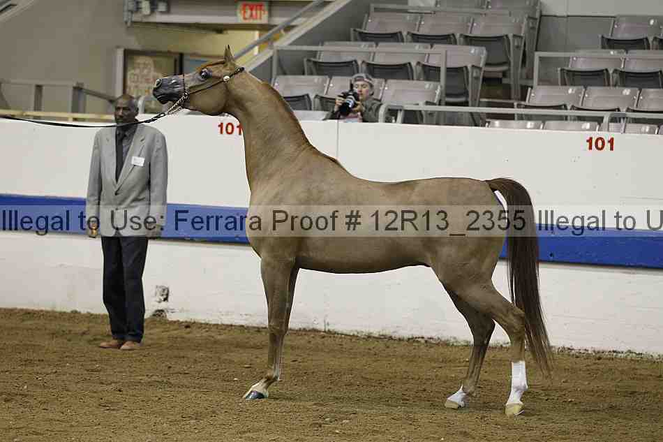 Proof 12r13_2355