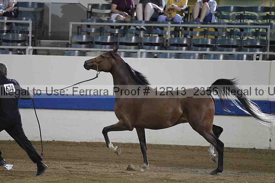Proof 12r13_2356
