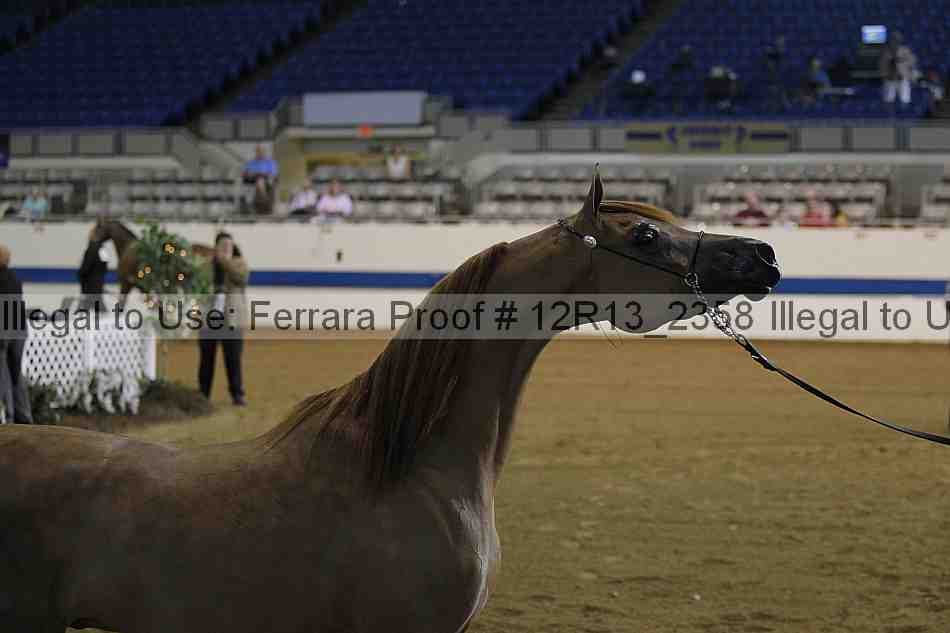 Proof 12r13_2358
