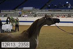 12r13_2358 proof