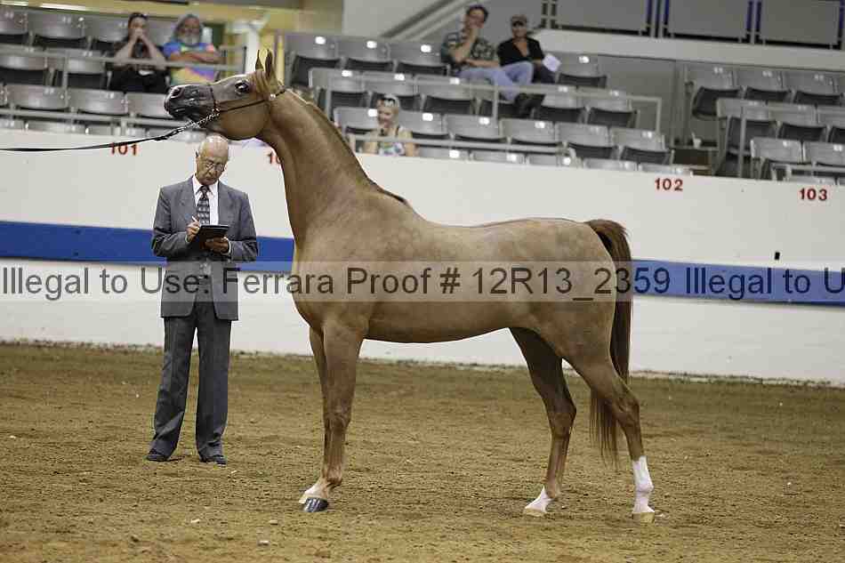 Proof 12r13_2359