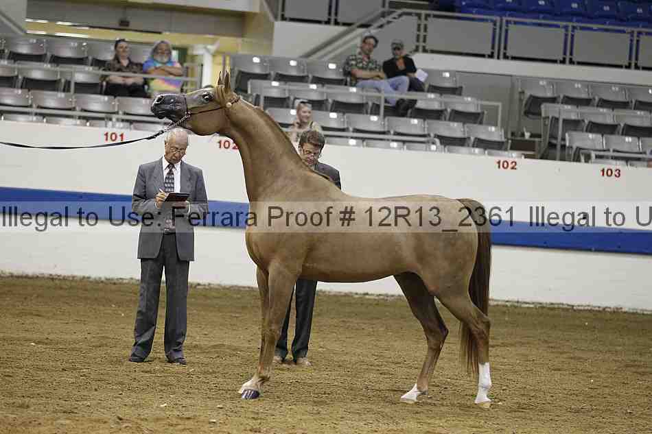 Proof 12r13_2361