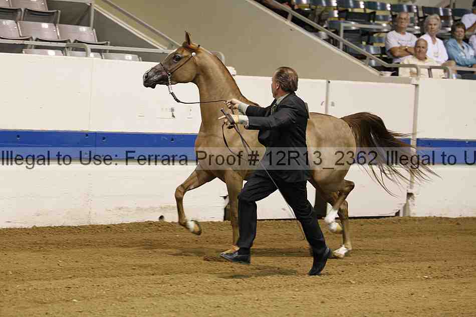 Proof 12r13_2362
