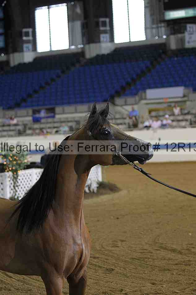 Proof 12r13_2363