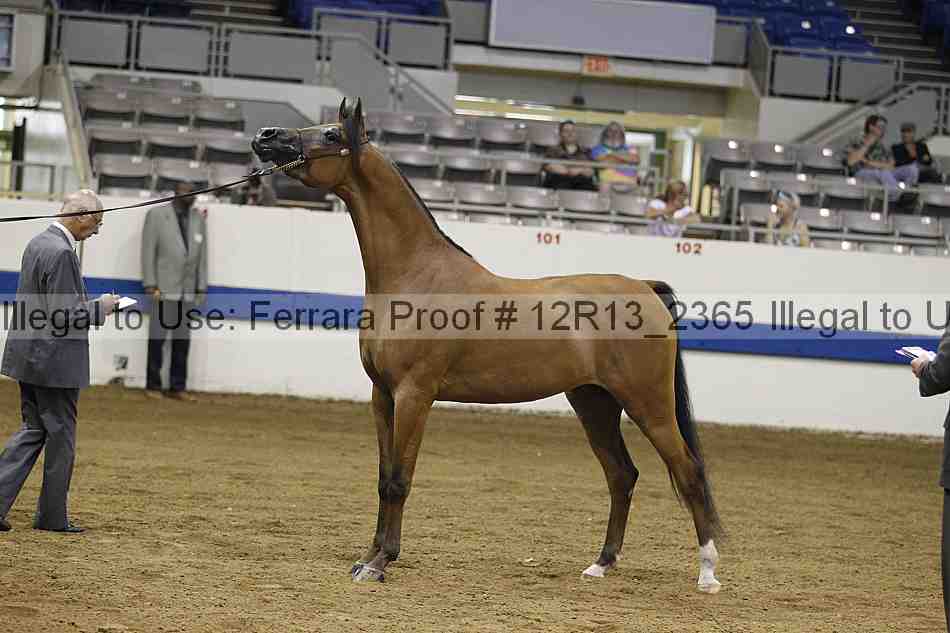 Proof 12r13_2365