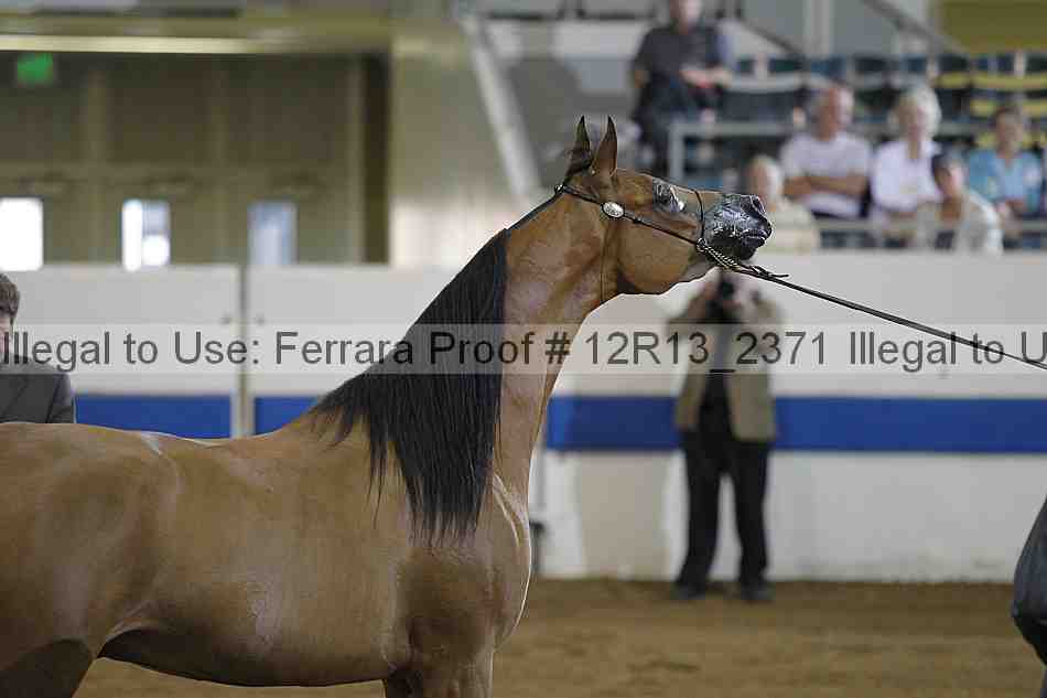 Proof 12r13_2371