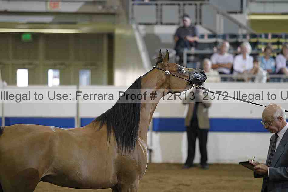 Proof 12r13_2372