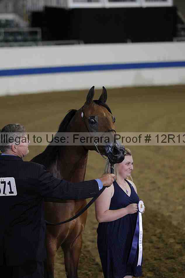 Proof 12r13_2375