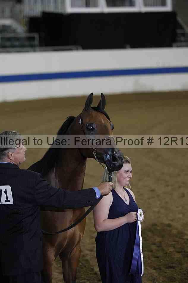 Proof 12r13_2376