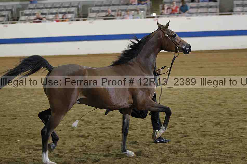 Proof 12r13_2389