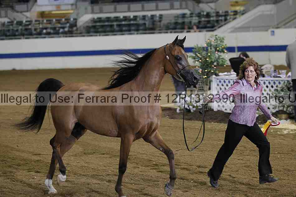Proof 12r13_2390