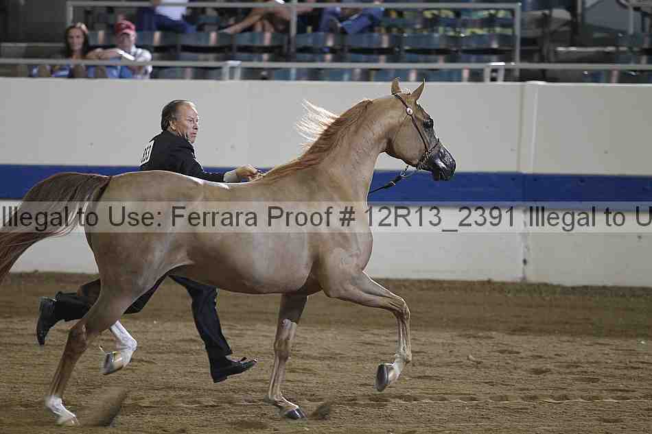 Proof 12r13_2391