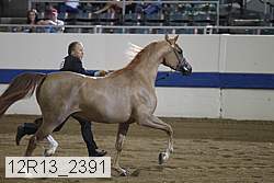 12r13_2391 proof