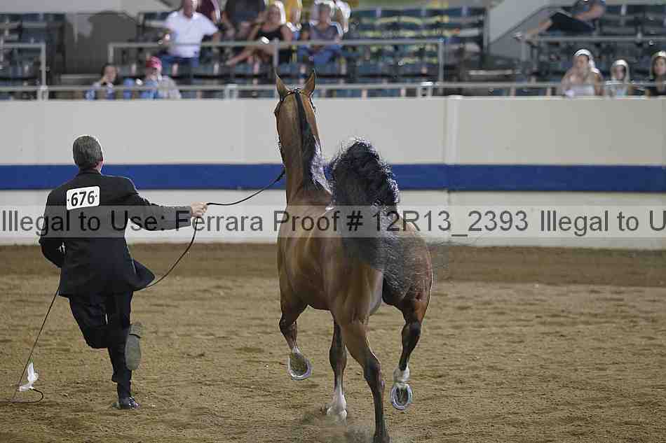 Proof 12r13_2393