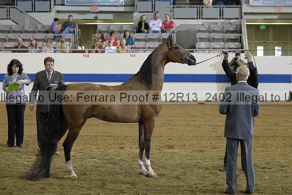 Proof 12r13_2402