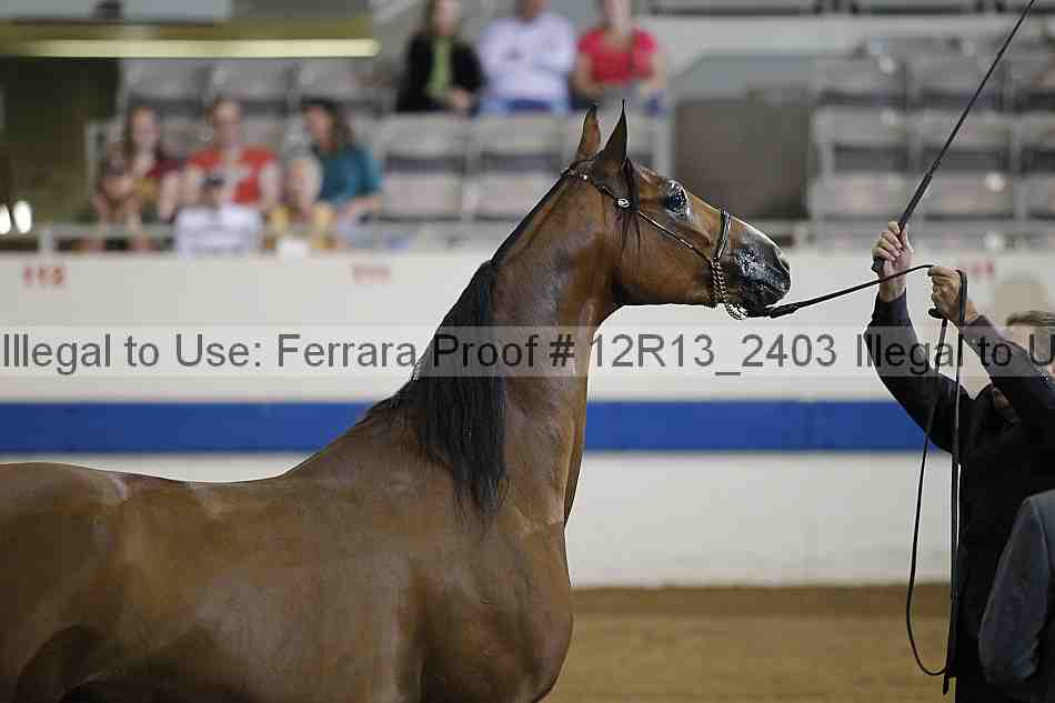 Proof 12r13_2403