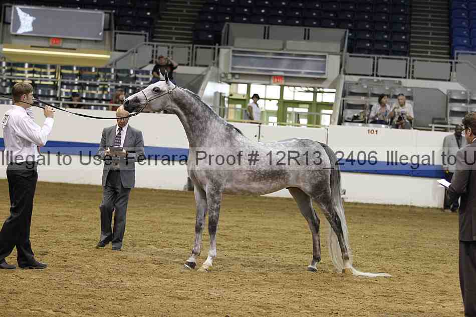 Proof 12r13_2406