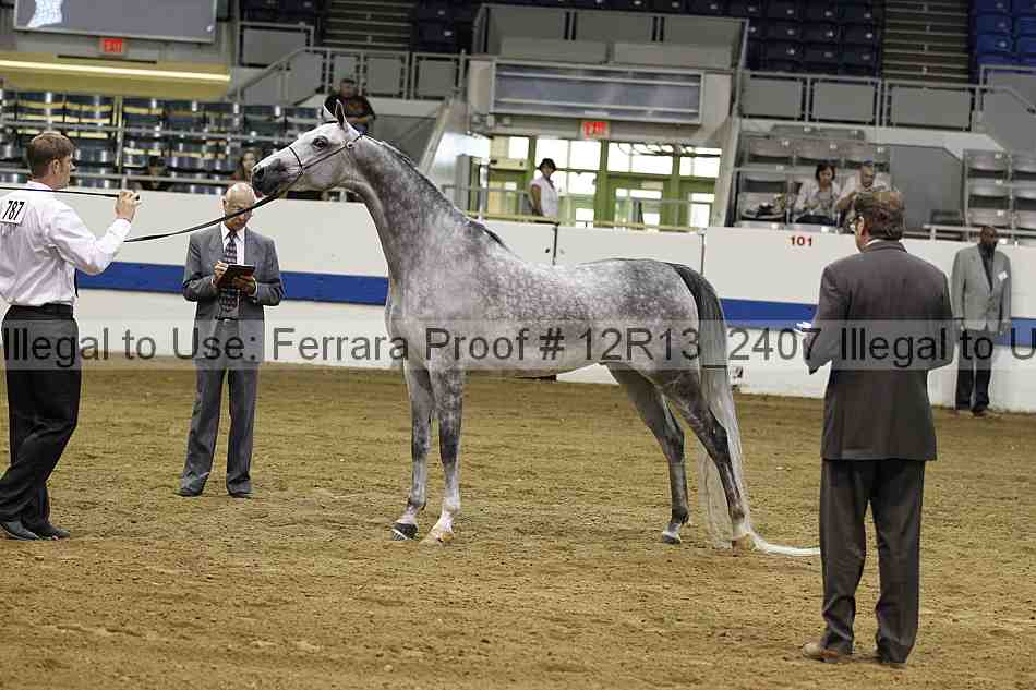 Proof 12r13_2407