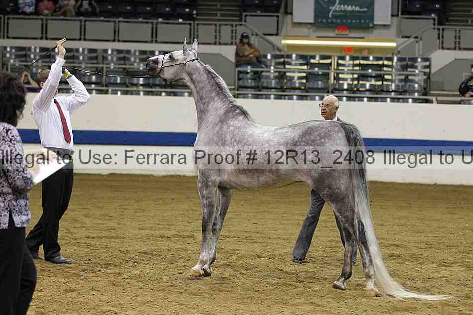 Proof 12r13_2408