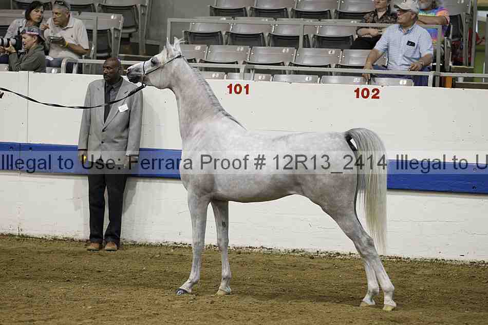 Proof 12r13_2414