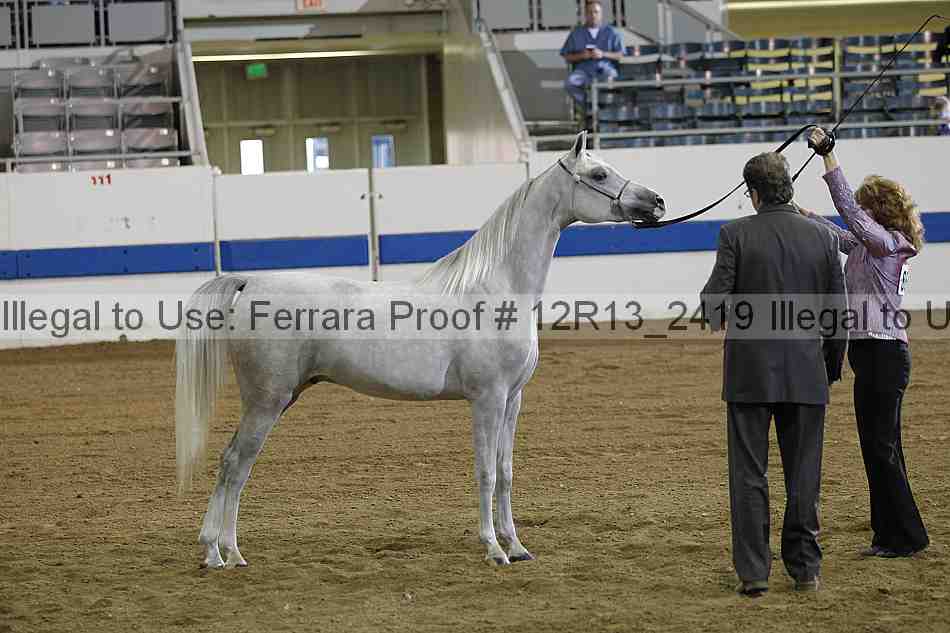 Proof 12r13_2419