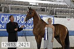 12r13_2421 proof