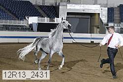 12r13_2431 proof