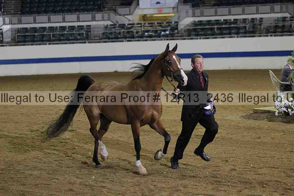 Proof 12r13_2436