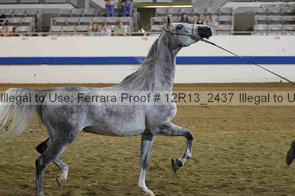 Proof 12r13_2437