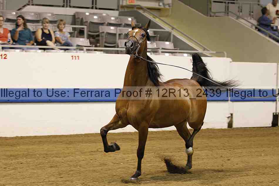Proof 12r13_2439